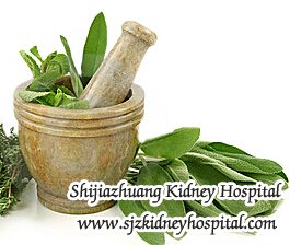 End Stage Renal Disease and FSGS Chinese Herb Medicine Treatment
