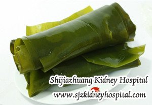 Is It OK for CKD Patients to Eat Kelp