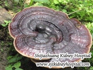 Natural Ways to Reverse Creatinine 1.7 in Chinese Herb Medicine