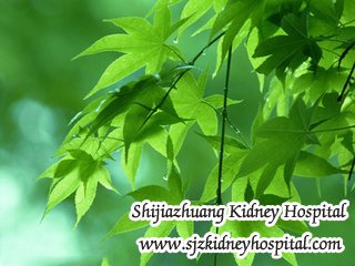 The Natural Ways to Reverse Serum Creatinine 1.78 in Chronic Kidney Disease