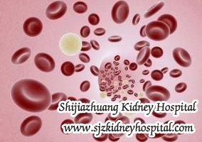 How to Control the Elevated Nitrogen in Blood for Kidney Disease Patient