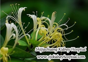 Are there any Alternative Treatments for Kidney Failure with High Creatinine Level