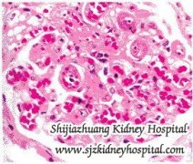 Chinese Herb Medicine Can Help to Prevent the Relapse of IgA Kidney Disease