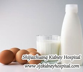 What are Good Protein Sources for Someone with CKD Stage 3