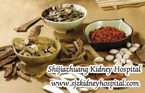 Can Kidney Failure Patient Undergoing Dialysis Take Chinese Herb