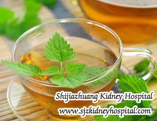 Is Nettle Leaf Tea helpful to Lower High Creatinine