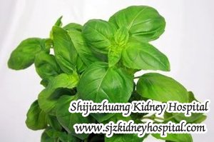 What Herbs can Help to Lower BUN and Treat Chronic Kidney Disease