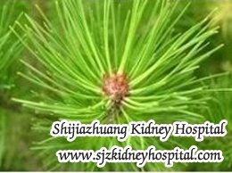 Can Chinese Medicine Help Stage 4 Kidney Disease Patient Avoid Dialysis

