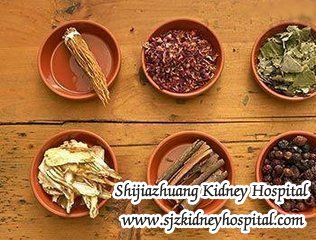 What Chinese Herbal Medicines are Good for Kidney Functions