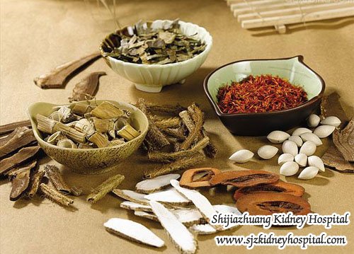 Micro-Chinese Medicine Osmotherapy Can Help Kidney Disease Paitent Avoid Dialysis