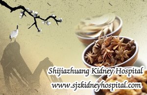 Kidney Function of 54% in Chronic Kidney Disease What Can It Tells Us