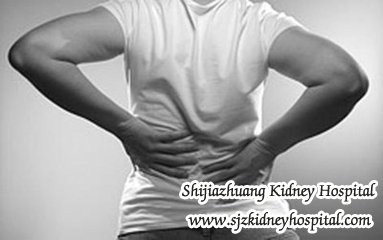 Polycystic Kidney Disease with Lower Back Pain What are the Causes and How to Treat It