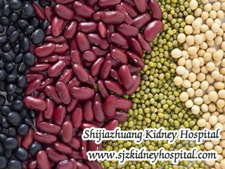 Is Bean Good for the Treatment of Polycystic Kidney Disease