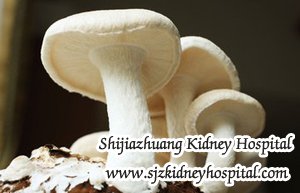 Is Mushroom Okay to Eat for Kidney Disease Patient