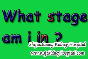 If My Creatinine Level is 2.5 and Kidney Function is 18% What Stage Am I In