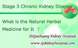 Stage 3 Chronic Kidney Disease What is the Natural Herbal Medicine for It