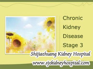 Stage 3 Chronic Kidney Disease with Protein Leakage What should I Do