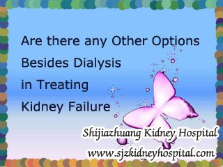 Are there any Other Options Besides Dialysis in Treating Kidney Failure