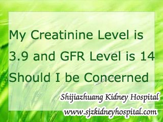 My Creatinine Level is 3.9 and GFR Level is 14 Should I be Concerned