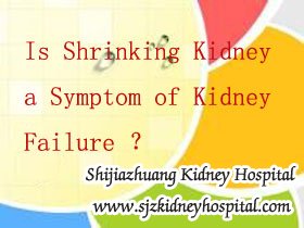 Is Shrinking Kidney a Symptom of Kidney Failure