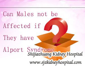 Can Males not be Affected if They Got Alport Syndrome