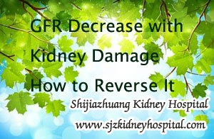 GFR Decrease with Kidney Damage How to Reverse It