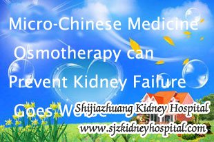 Micro-Chinese Medicine Osmotherapy Can Prevent Kidney Failure Goes Worse