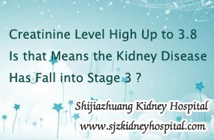 Creatinine Level High Up to 3.8 Is that Means the Kidney Disease Has Fall into Stage 3
