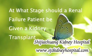 At What Stage should a Kidney Failure Patient be Given a Kidney Transplant