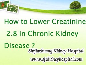 How to Lower Creatinine 2.8 in Chronic Kidney Disease