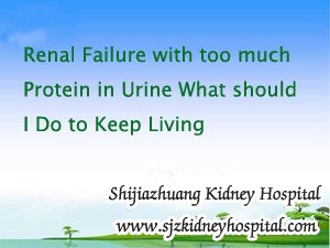 Renal Failure,Too much Protein in Urine,Renal Failure with too much Protein in Urine