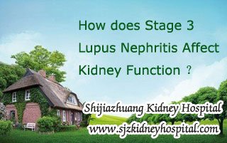 How does Stage 3 Lupus Nephritis Affect Kidney Function