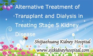 Alternative Treatment of Transplant and Dialysis in Treating Stage 5 Kidney Disease