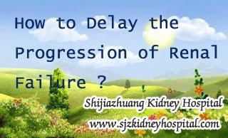 How to Delay the Progression of Renal Failure