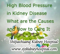 High Blood Pressure in Kidney Disease What are the Causes and How to Cure It