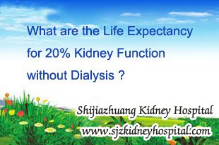 What are the Life Expectancy for 20% Kidney Function without Dialysis