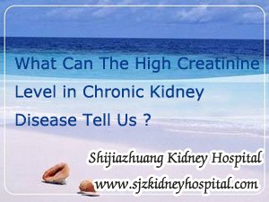 What Can The High Creatinine Level in Chronic Kidney Disease Tell Us