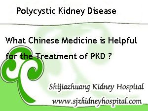 What Chinese Medicine is Helpful for the Treatment of Polycystic Kidney Disease