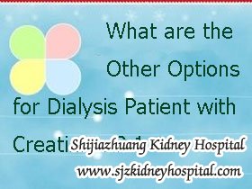 What are the Other Options for Dialysis Patient with Creatinine 9.1
