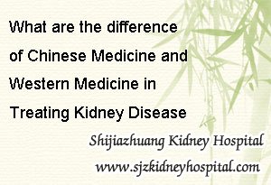 What are the Difference of Chinese Medicine and Western Medicine in Treating Kidney Disease