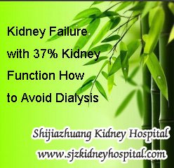 Kidney Failure with 37% Kidney Function How to Avoid Dialysis