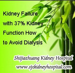Kidney Failure with 37% Kidney Function How to Avoid Dialysis