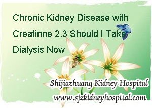 Chronic Kidney Disease with Creatinne 2.3 Should I Take Dialysis Now