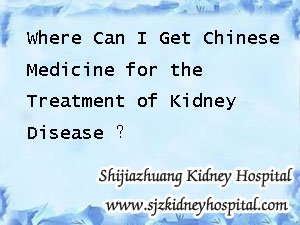 Where Can I Get Chinese Medicine for the Treatment of Kidney Disease