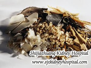 How Much Do You Know about TCM in Treating Chronic Kidney Disease