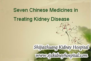 Seven Chinese Medicines in Treating Kidney Disease
