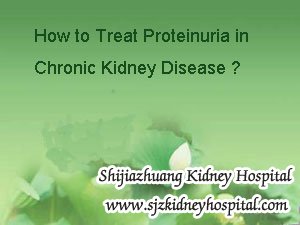 How to Treat Proteinuria in Chronic Kidney Disease