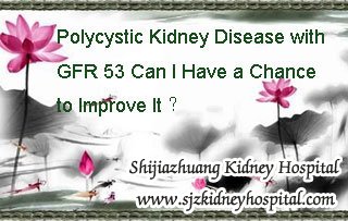 Polycystic Kidney Disease with GFR 53 Can I Have a Chance to Improve It