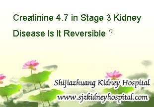 Creatinine 4.7 in Stage 3 Kidney Disease Is It Reversible