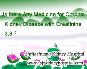 Is there Any Medicine for Chronic Kidney Disease with Creatinine 3.8
